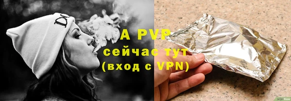 стафф Козельск