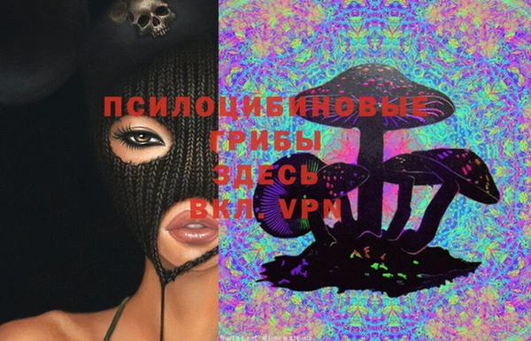 стафф Козельск