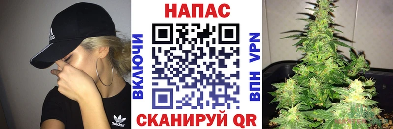 Купить закладки  Дальнереченск  Канабис план 